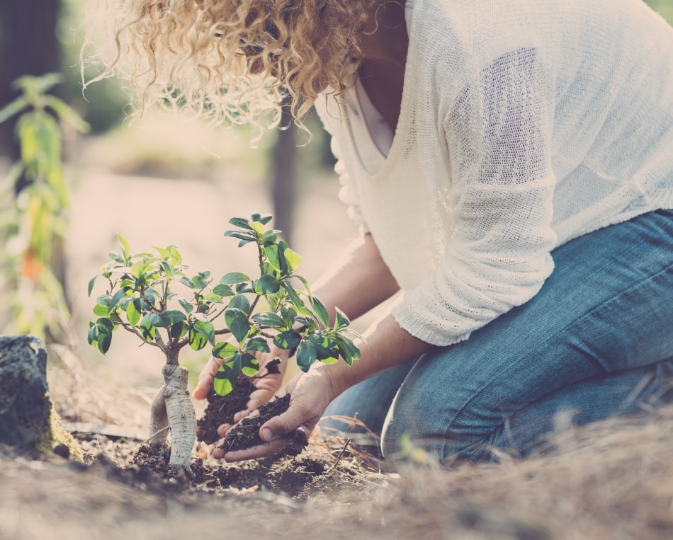 Femme qui plante un arbre